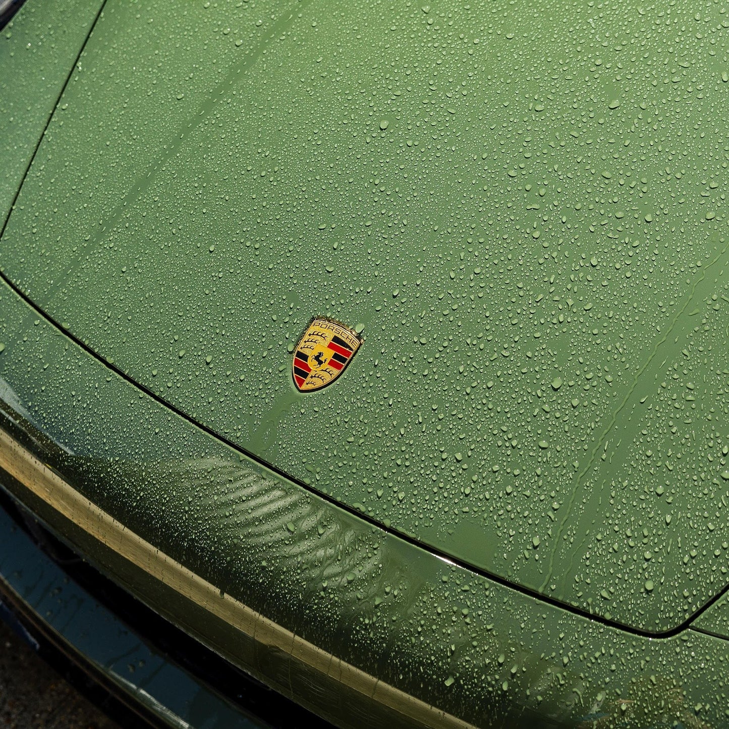 Wash 'N' Gloss Car Shampoo
