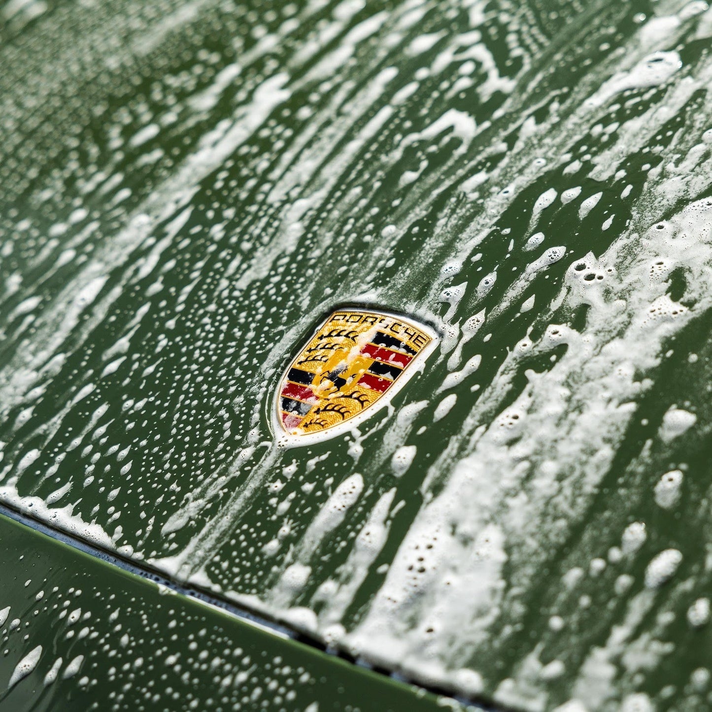 Wash 'N' Gloss Car Shampoo