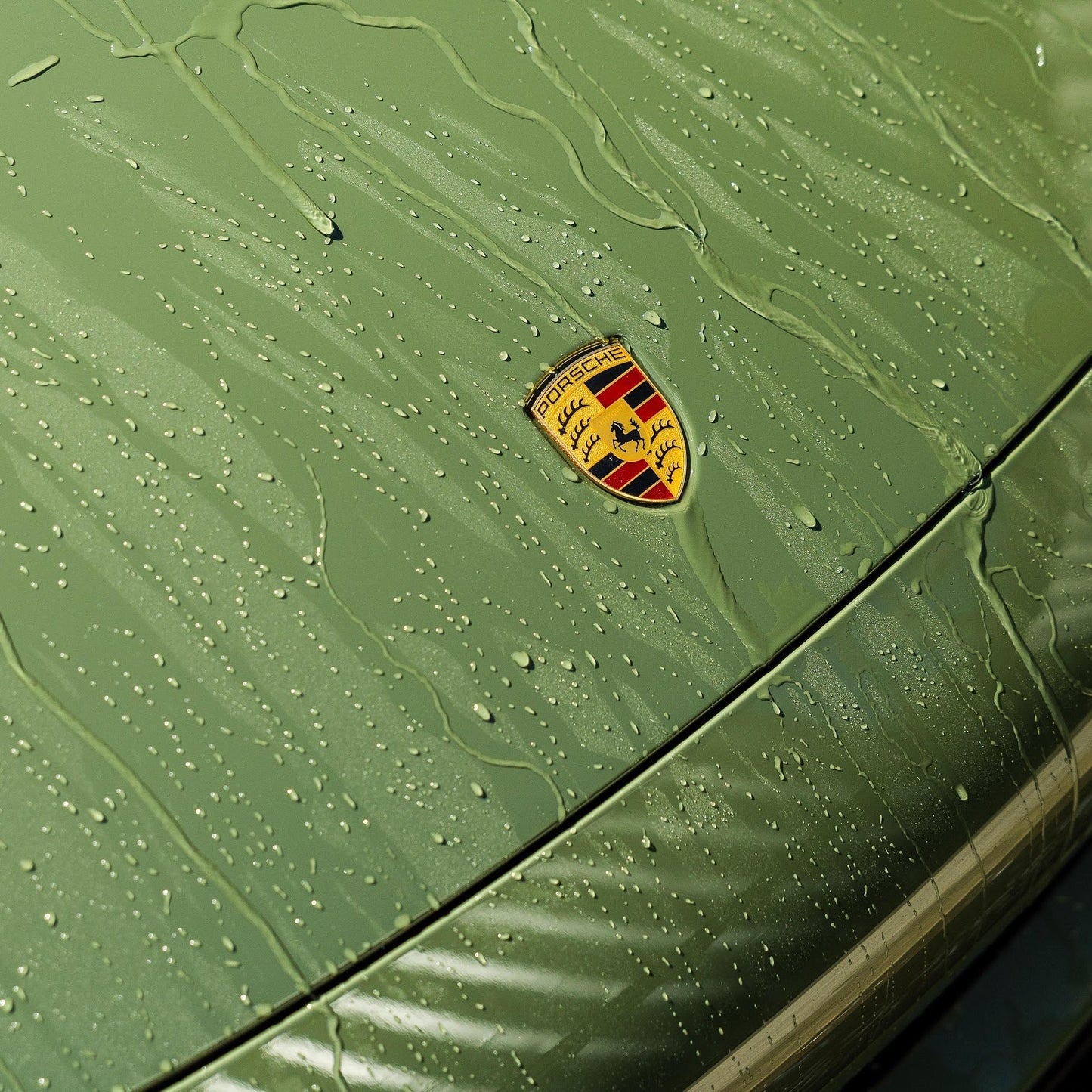 Wash 'N' Gloss Car Shampoo